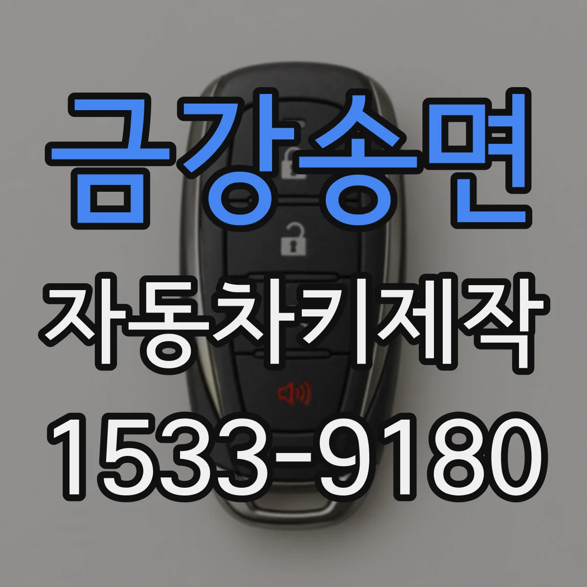 금강송면 자동차키제작