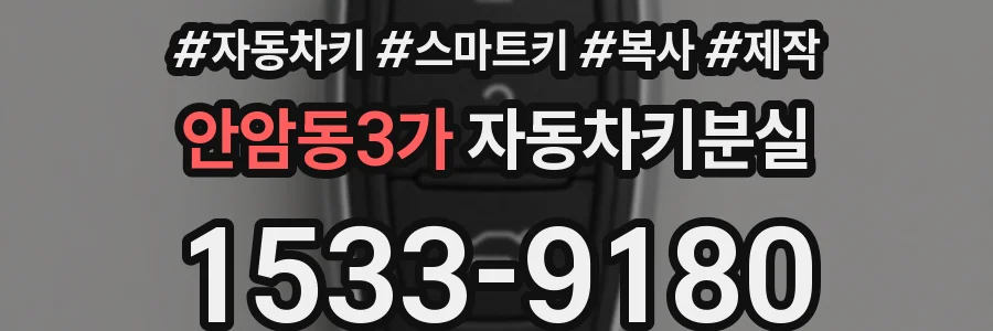 안암동3가 자동차키분실