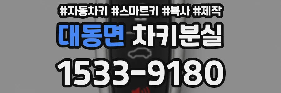 대동면 차키분실