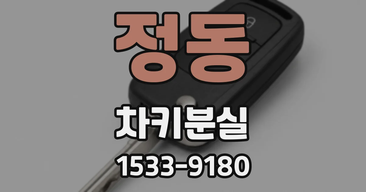 정동 차키분실
