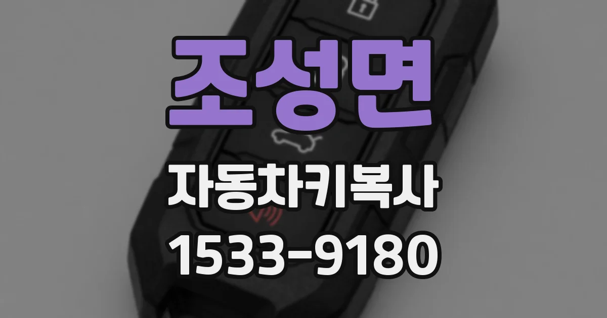 조성면 자동차키복사