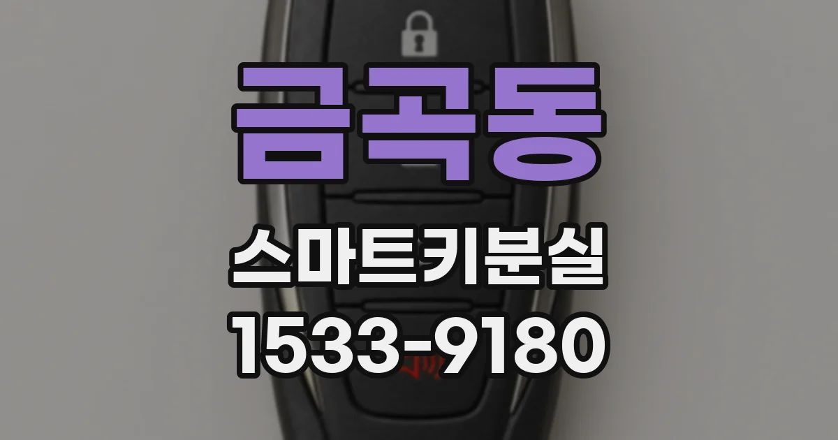 금곡동 스마트키분실