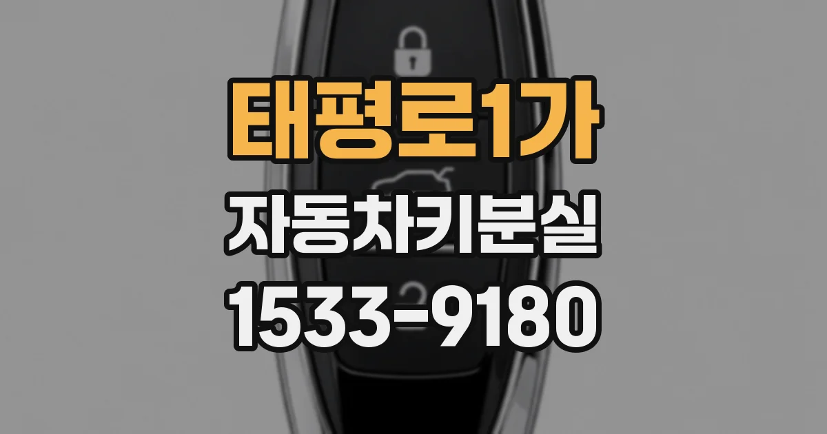 태평로1가 자동차키분실