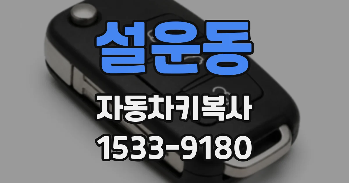 설운동 자동차키복사