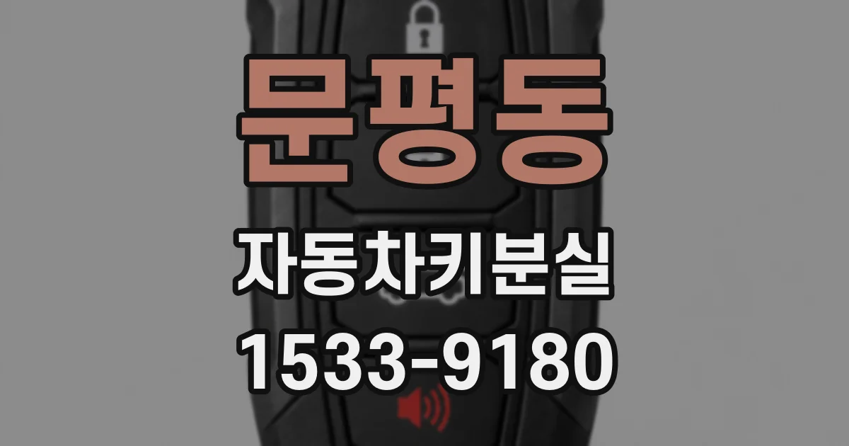 문평동 자동차키분실
