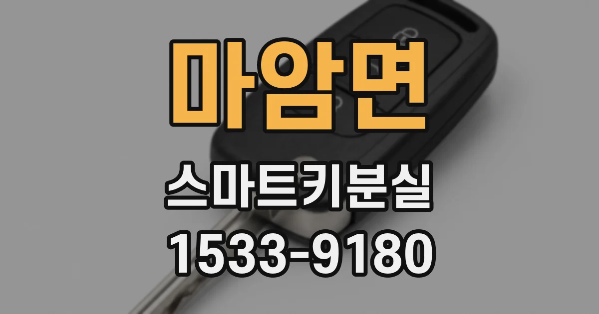 마암면 스마트키분실