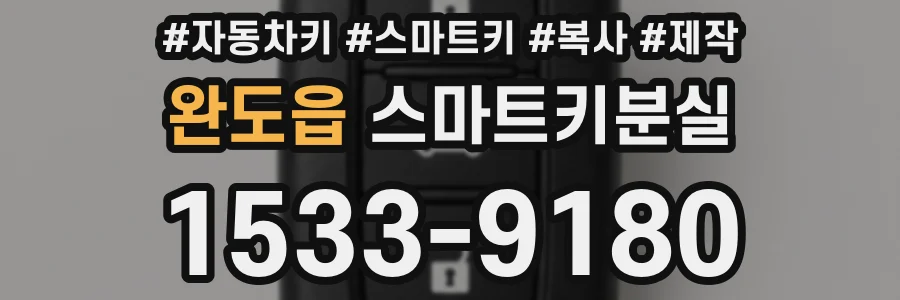완도읍 스마트키분실