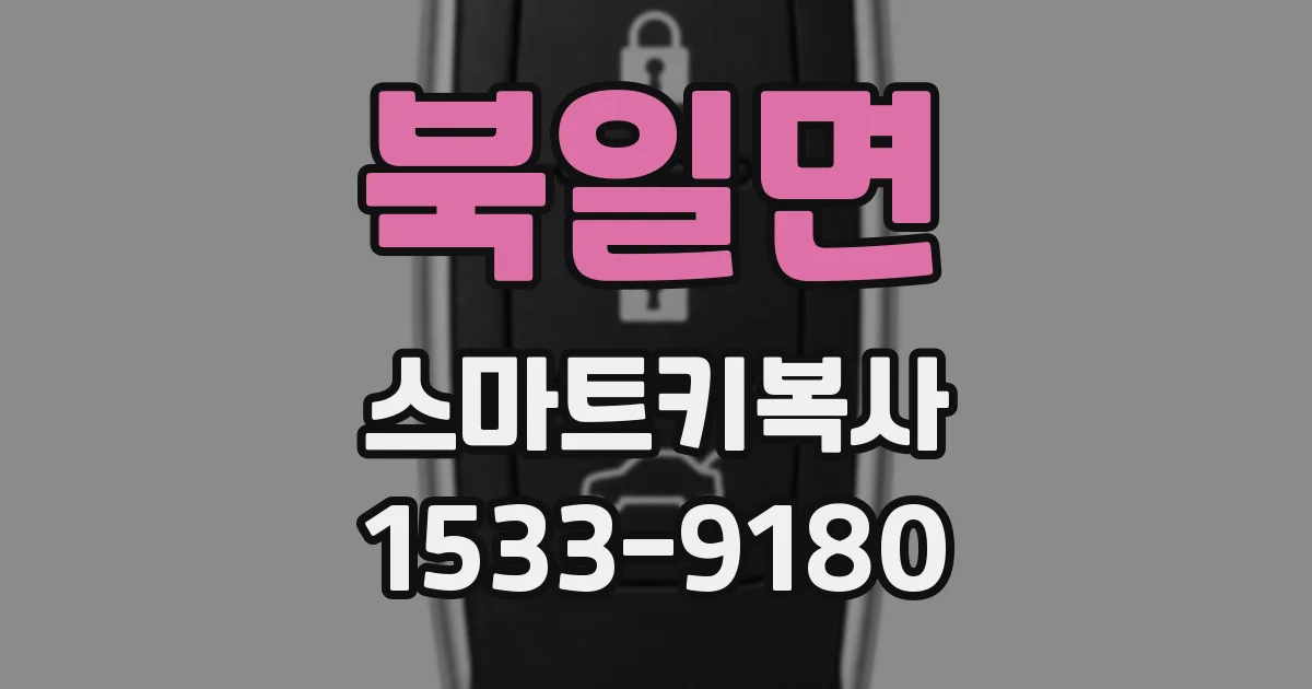 북일면 스마트키복사