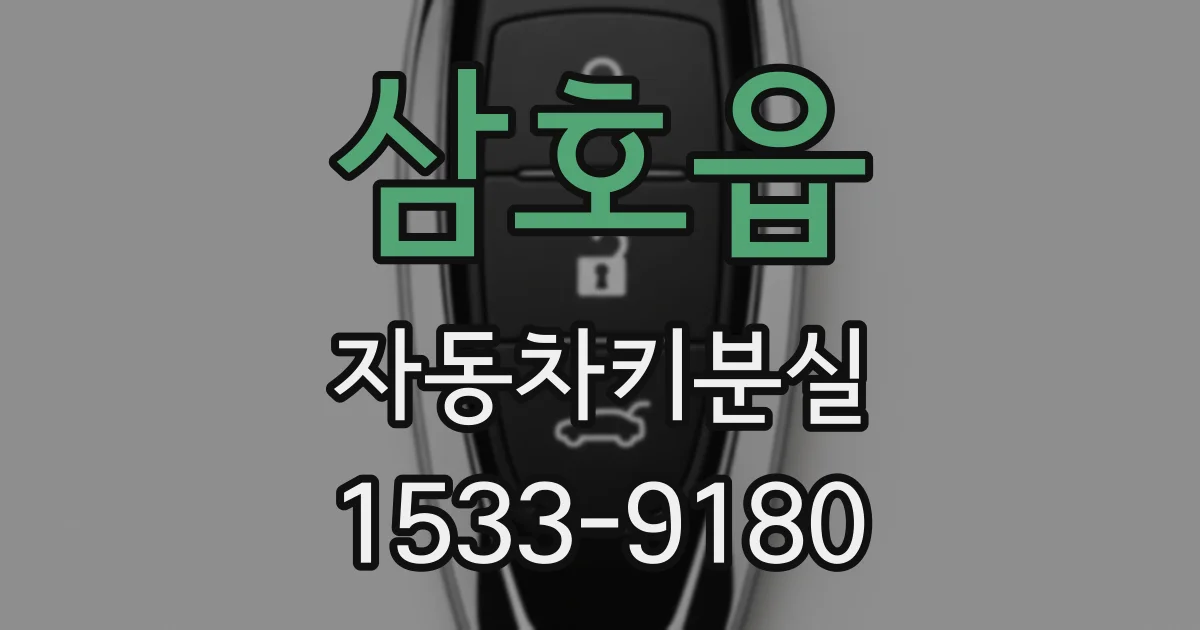 삼호읍 자동차키분실