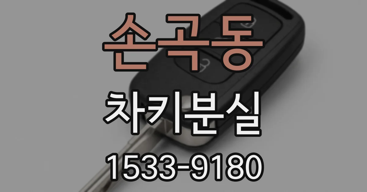 손곡동 차키분실