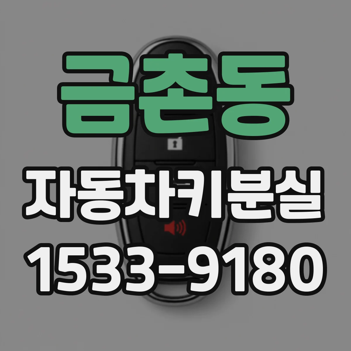 금촌동 자동차키분실