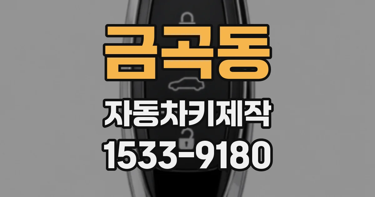 금곡동 자동차키제작