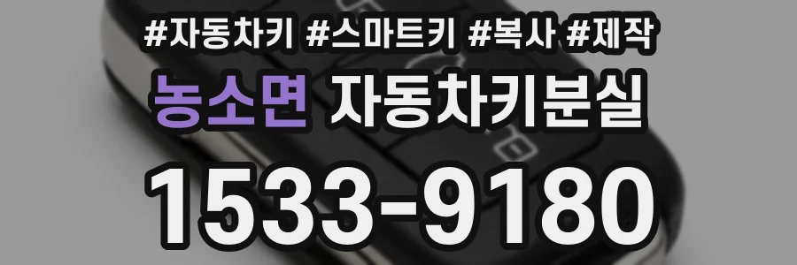 농소면 자동차키분실