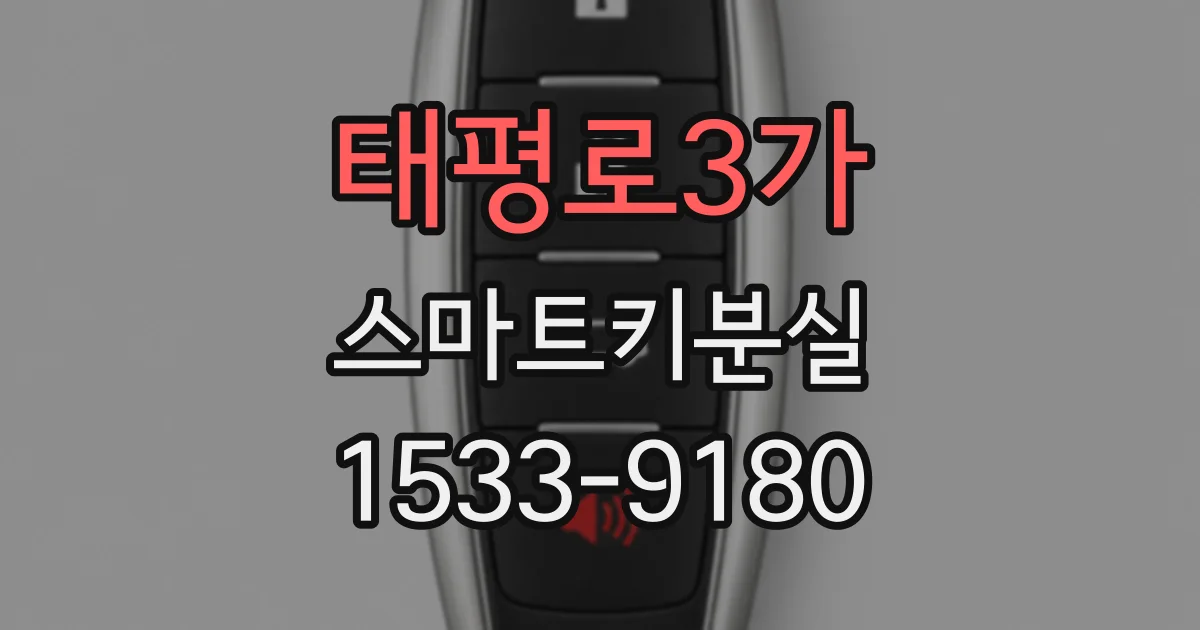 태평로3가 스마트키분실