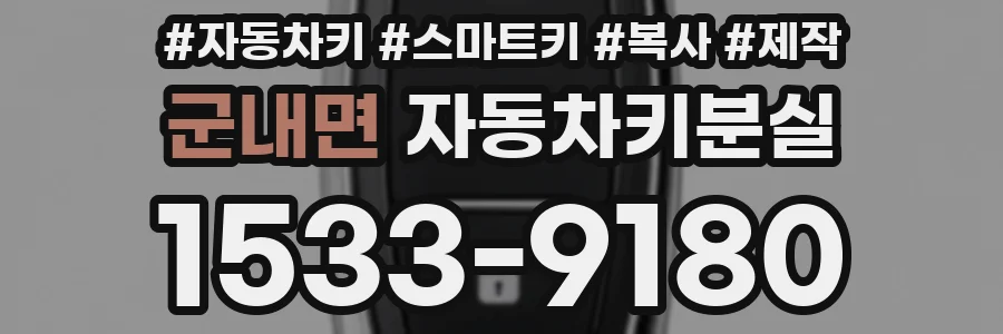 군내면 자동차키분실