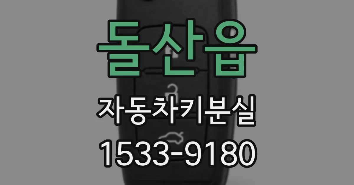 돌산읍 자동차키분실