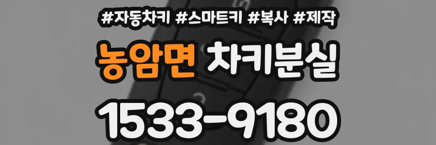 농암면 차키분실