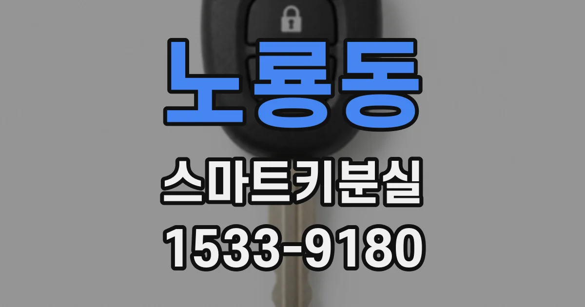 노룡동 스마트키분실