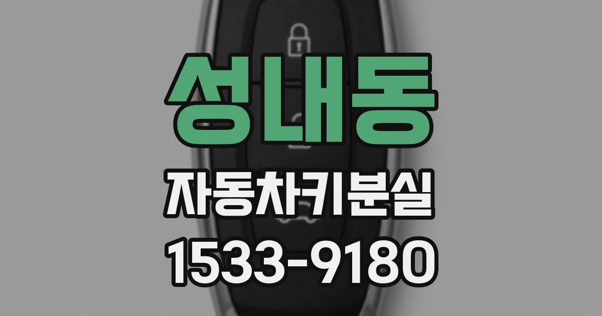 성내동 자동차키분실