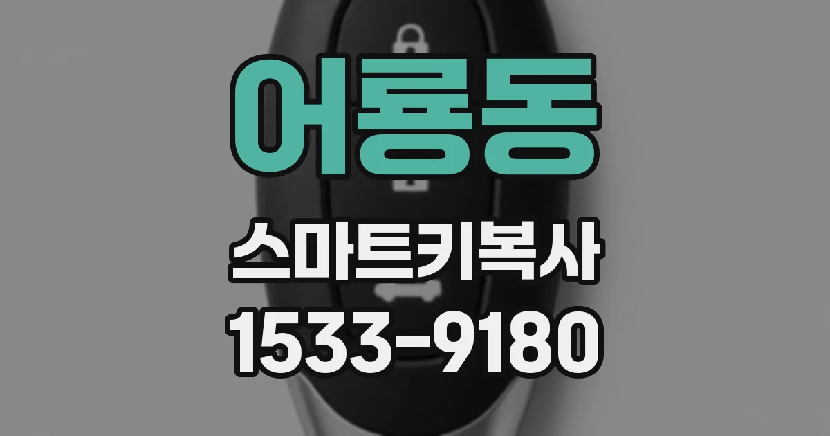 어룡동 스마트키복사