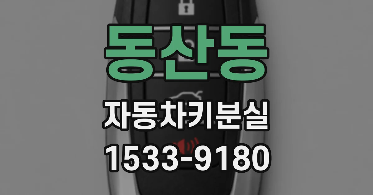 동산동 자동차키분실