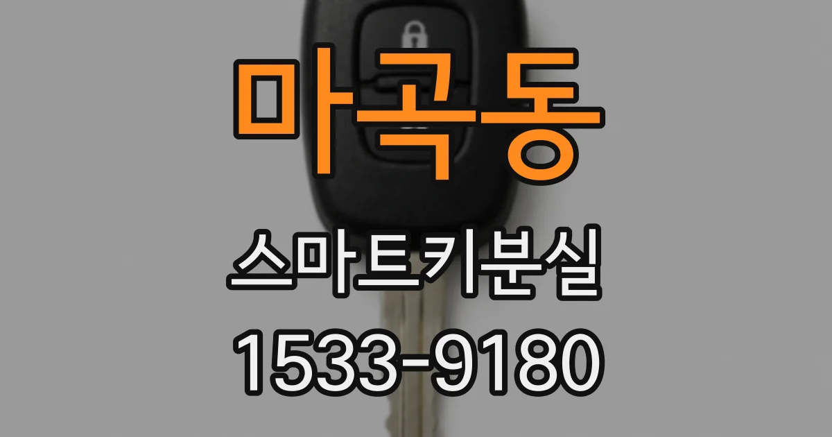 마곡동 스마트키분실