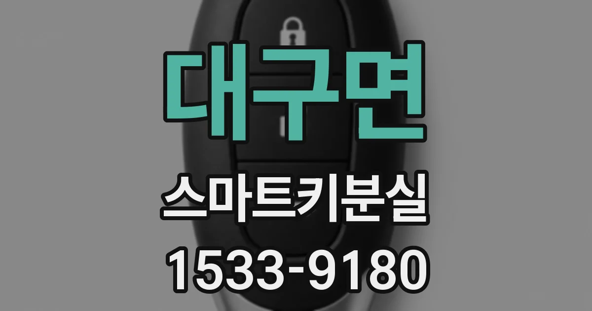 대구면 스마트키분실