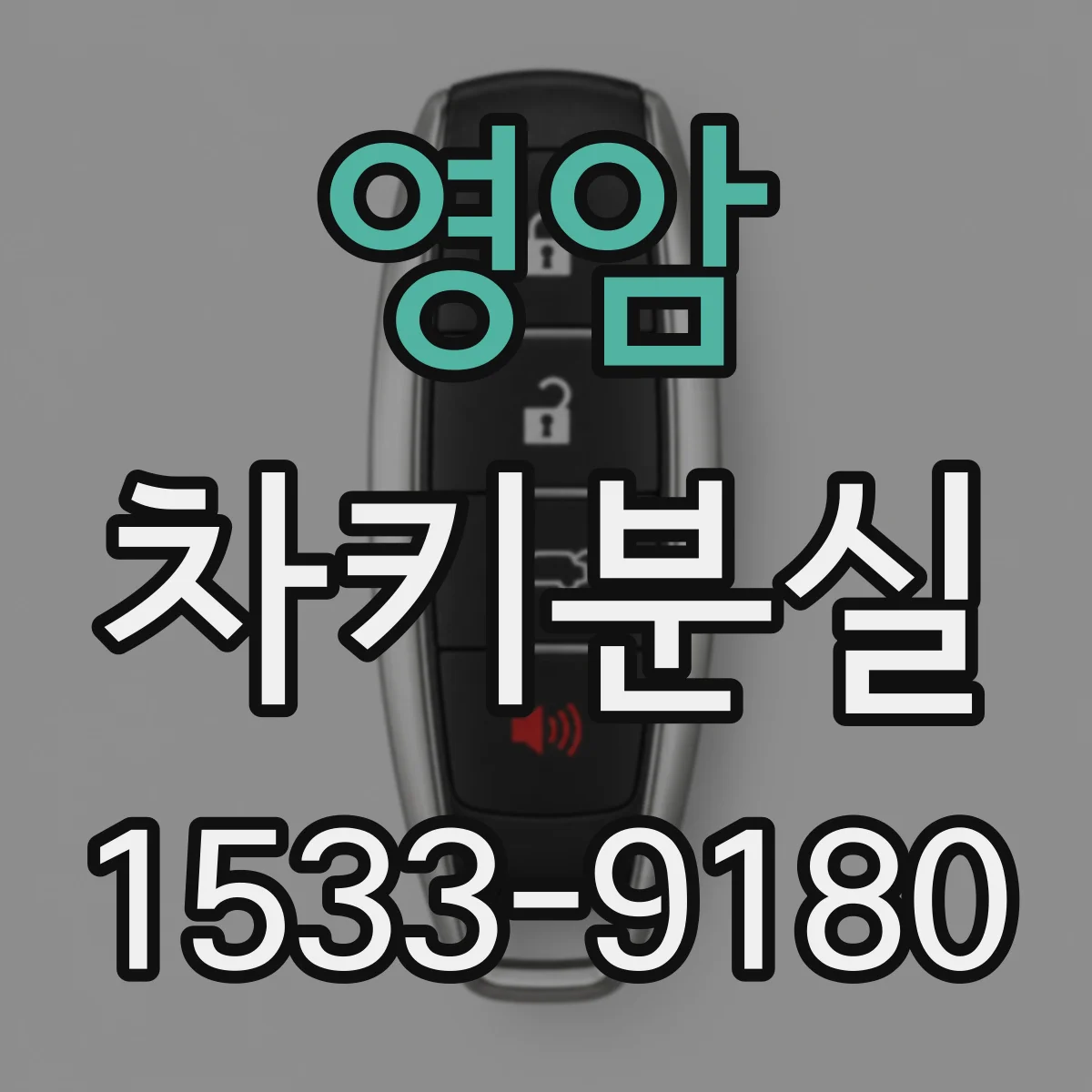 영암 차키분실