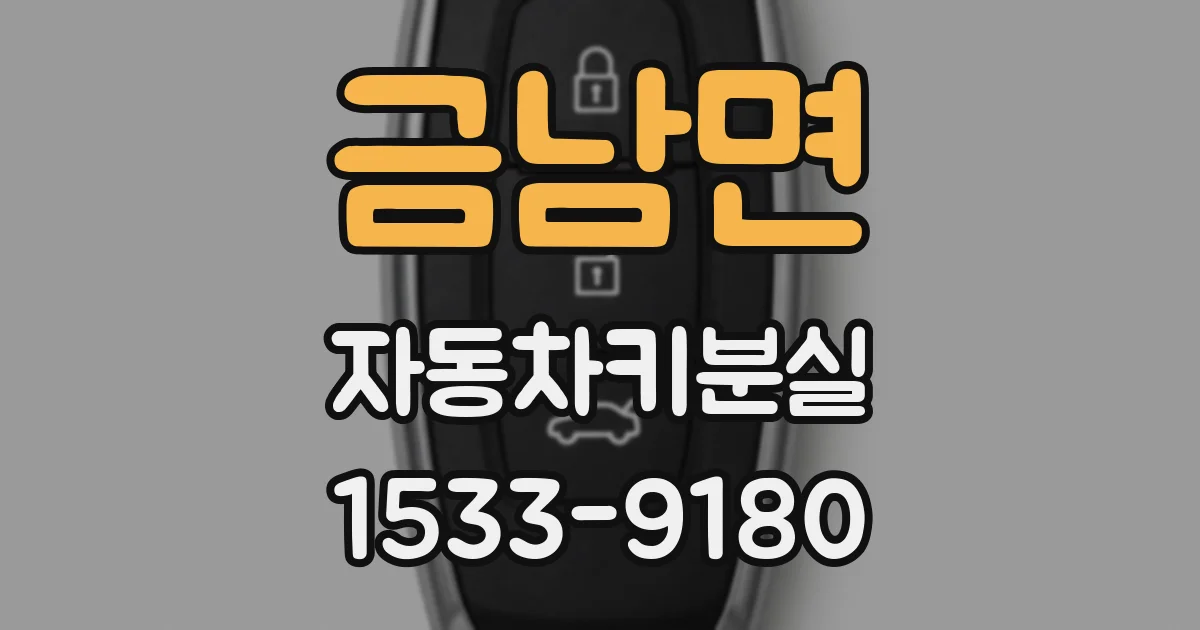 금남면 자동차키분실
