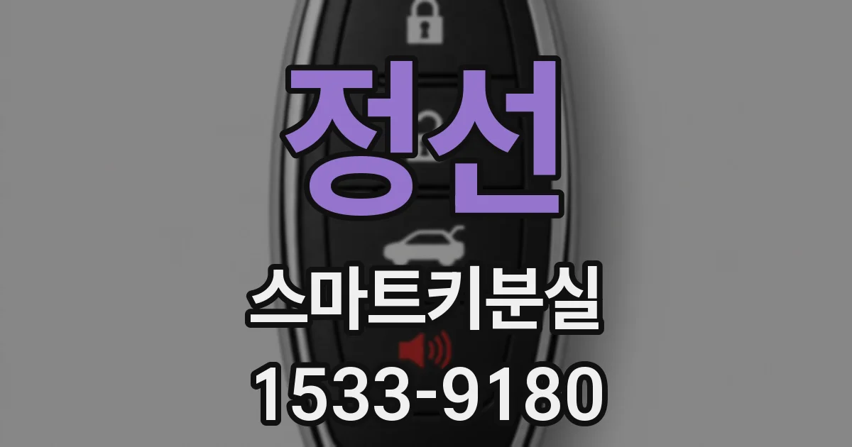 정선 스마트키분실