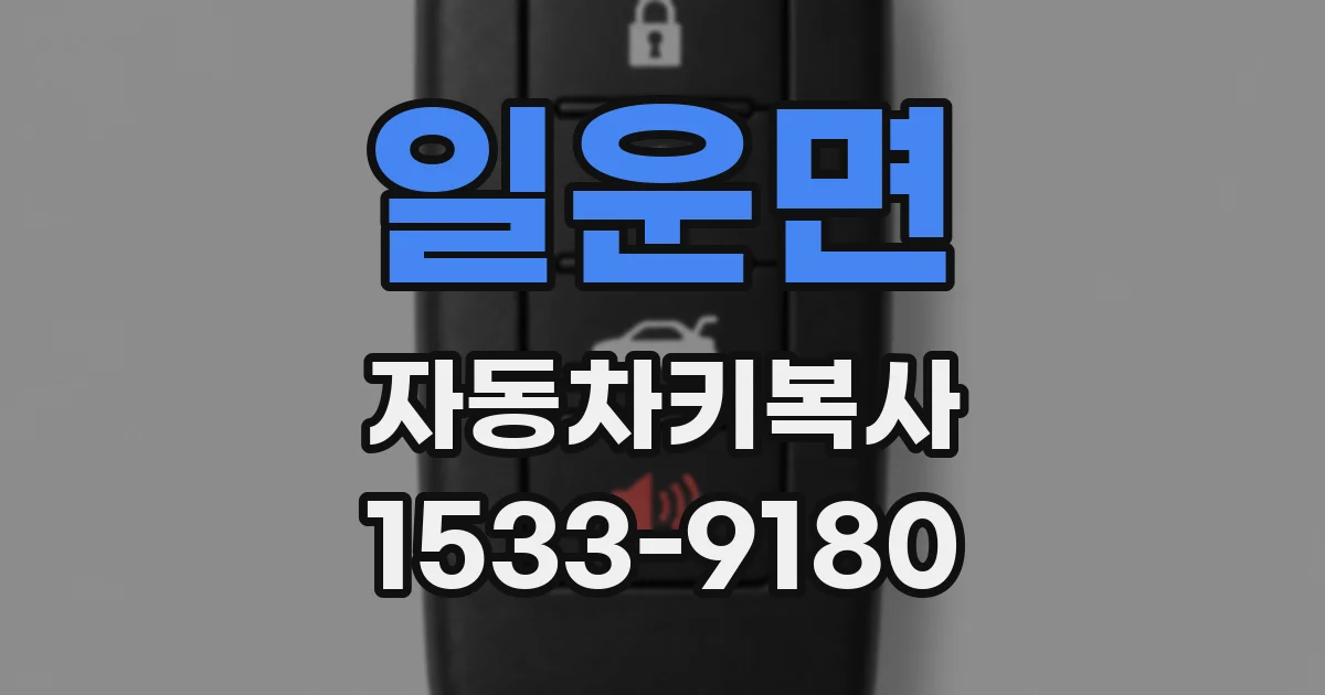 일운면 자동차키복사