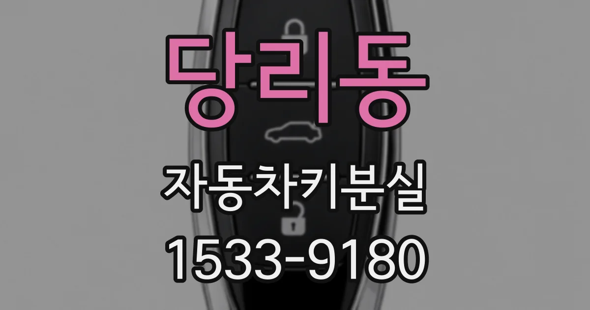 당리동 자동차키분실