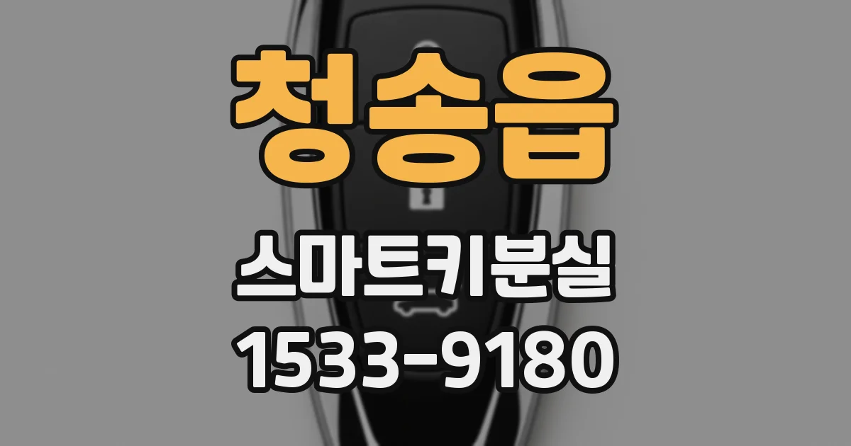 청송읍 스마트키분실