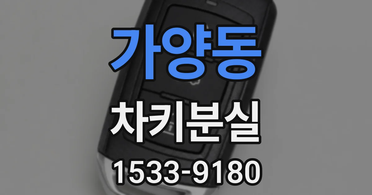 가양동 차키분실