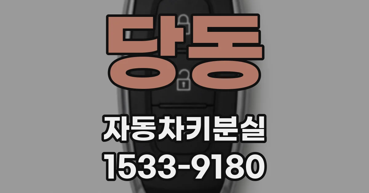 당동 자동차키분실