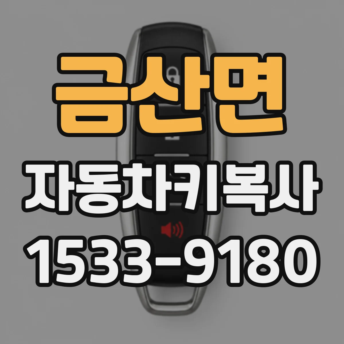 금산면 자동차키복사