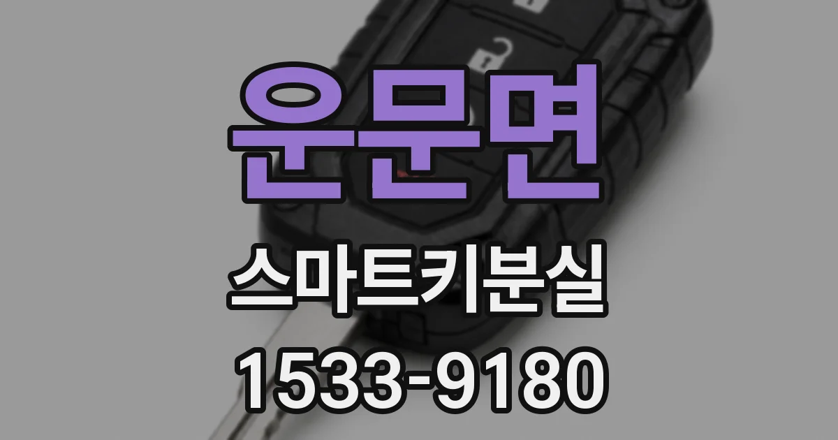 운문면 스마트키분실