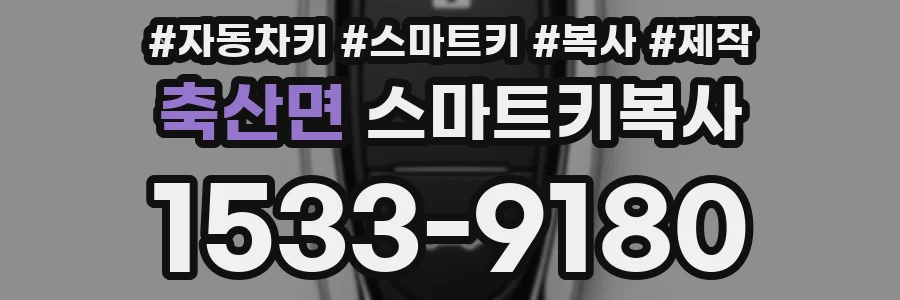 축산면 스마트키복사