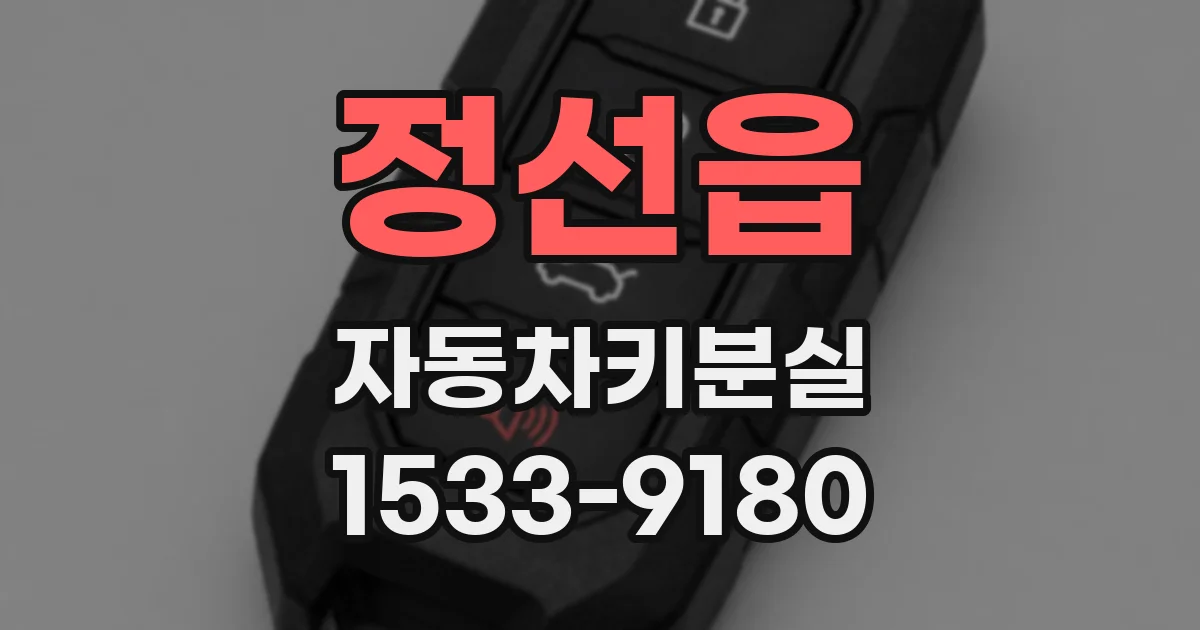 정선읍 자동차키분실