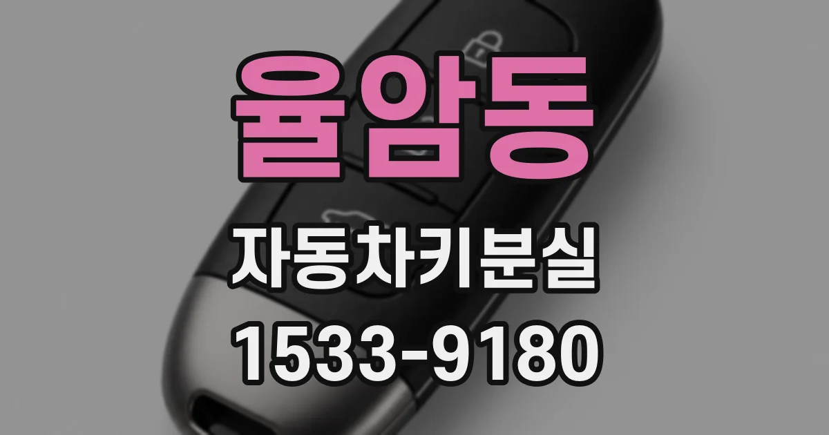 율암동 자동차키분실