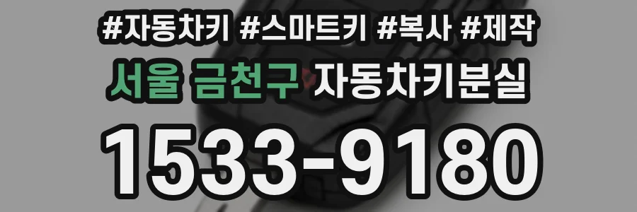 서울 금천구 자동차키분실