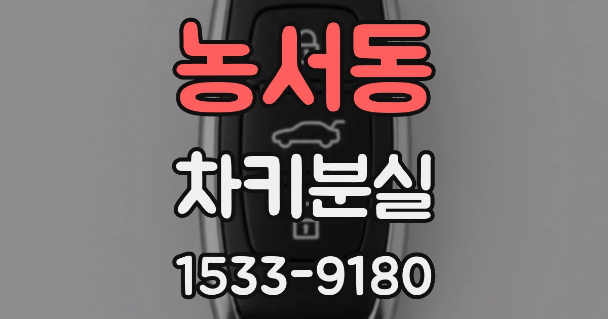 농서동 차키분실