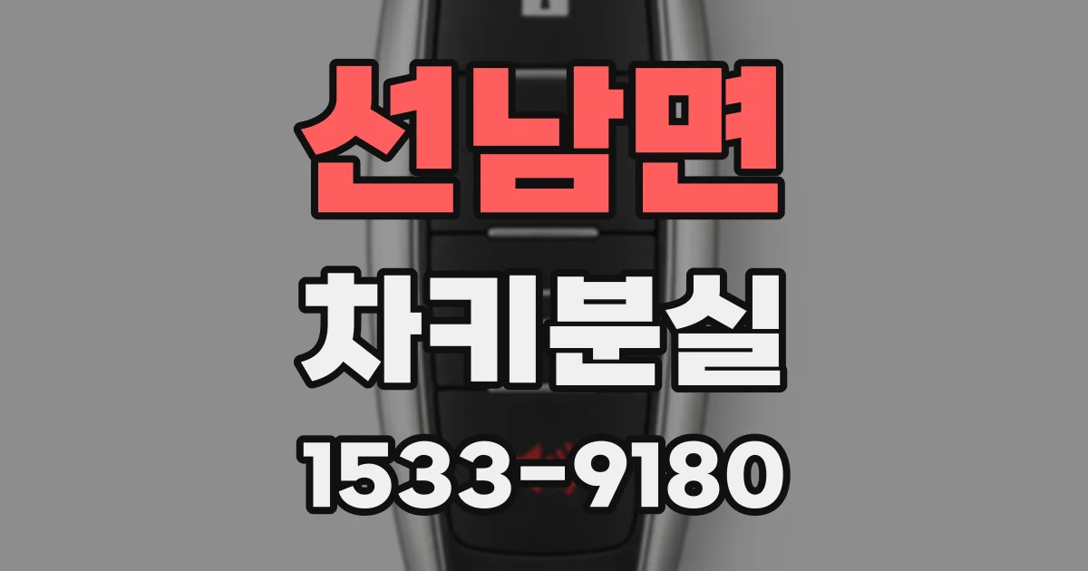 선남면 차키분실