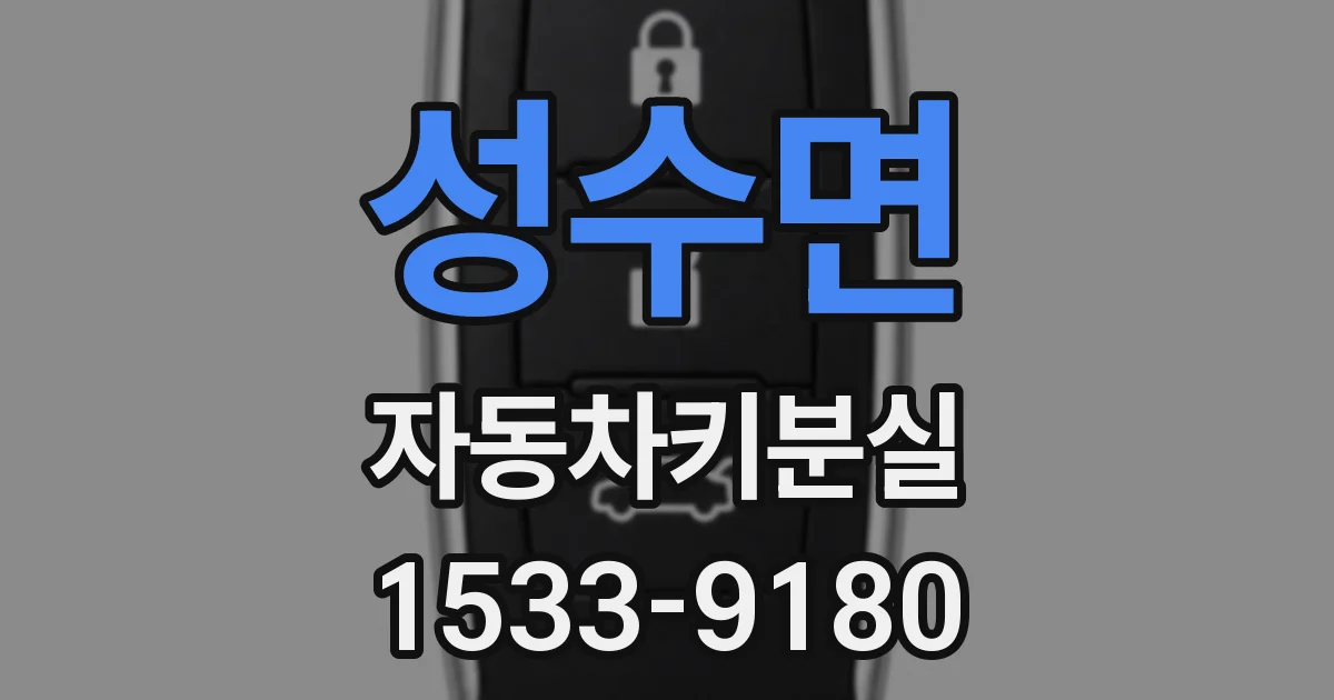 성수면 자동차키분실
