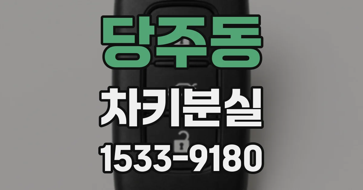 당주동 차키분실