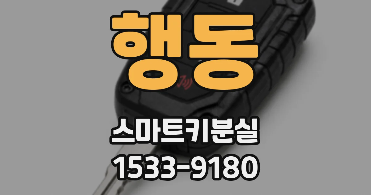행동 스마트키분실