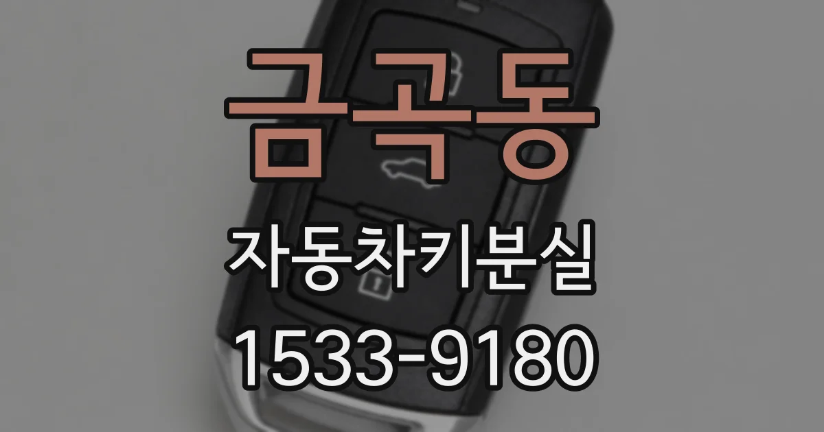 금곡동 자동차키분실