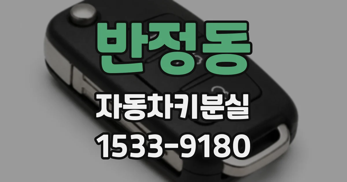 반정동 자동차키분실