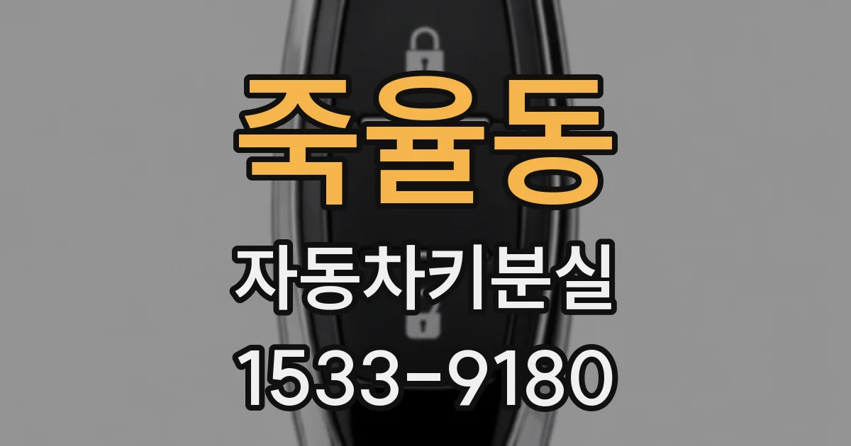 죽율동 자동차키분실