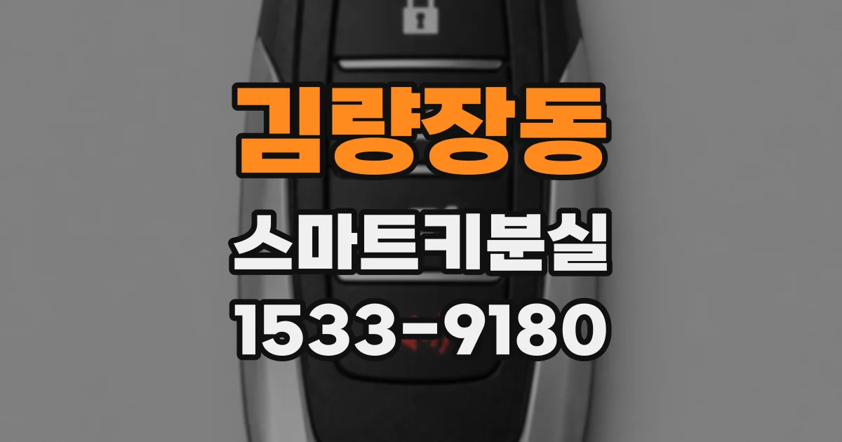 김량장동 스마트키분실